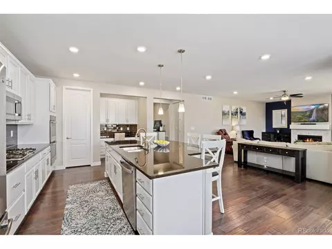 16100 Red Bud Loop, Parker, CO 80134 photo 5