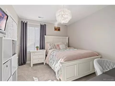 16100 Red Bud Loop, Parker, CO 80134 photo 29