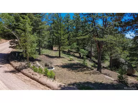 2172 N Mountain Estates Rd, Florissant, CO 80816