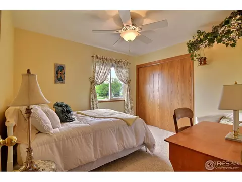 91 Double Eagle Dr, Milliken, CO 80543 photo 19