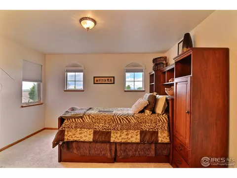 91 Double Eagle Dr, Milliken, CO 80543 photo 20