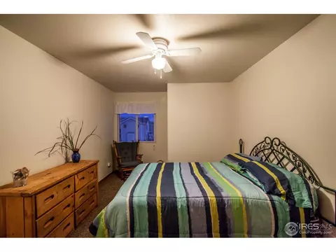 506 Hemlock Dr, Windsor, CO 80550 photo 11