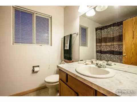 506 Hemlock Dr, Windsor, CO 80550 photo 12