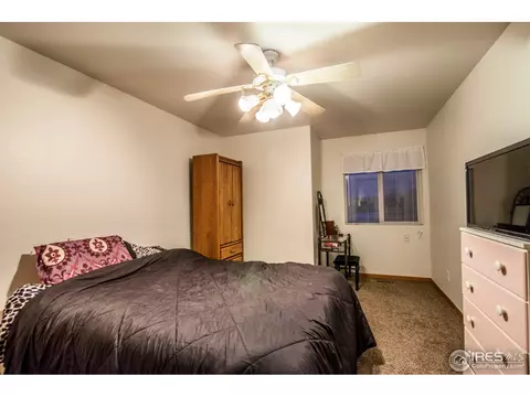 506 Hemlock Dr, Windsor, CO 80550 photo 13