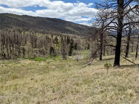 951 Van Fossan Ln, Fort Garland, CO 81133