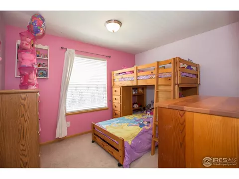 1227 Fairfield Ave, Windsor, CO 80550 photo 13