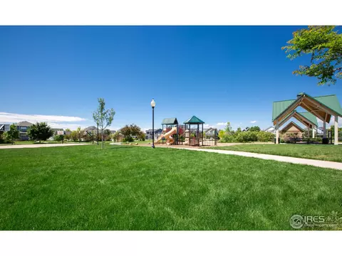 1227 Fairfield Ave, Windsor, CO 80550 photo 25