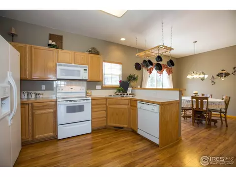 1227 Fairfield Ave, Windsor, CO 80550 photo 10