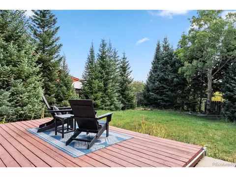 249 E Coyote Ct, Silverthorne, CO 80498 photo 33