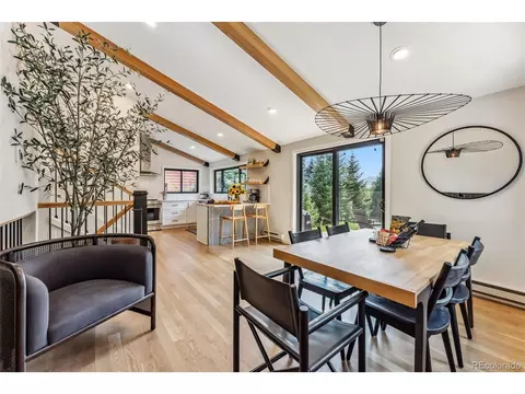 249 E Coyote Ct, Silverthorne, CO 80498 photo 1