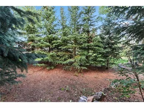 249 E Coyote Ct, Silverthorne, CO 80498 photo 35