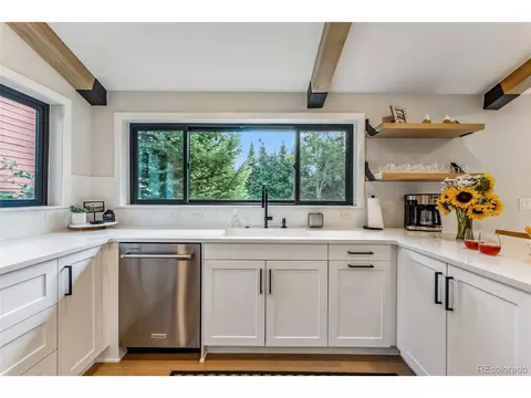 249 E Coyote Ct, Silverthorne, CO 80498 photo 8