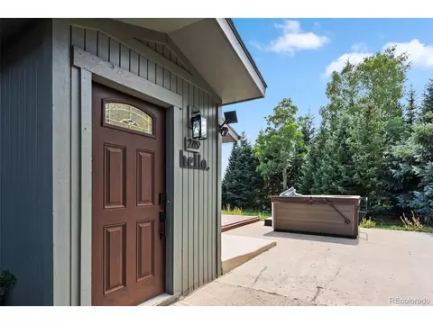 249 E Coyote Ct, Silverthorne, CO 80498 photo 28
