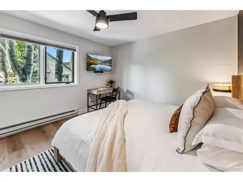 249 E Coyote Ct, Silverthorne, CO 80498 photo 25