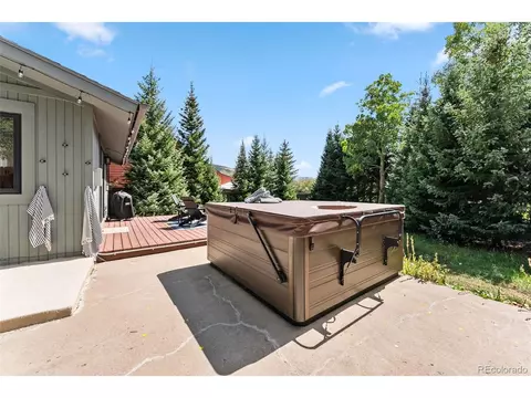 249 E Coyote Ct, Silverthorne, CO 80498 photo 30