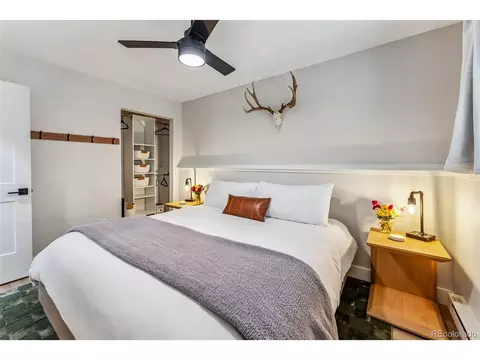 249 E Coyote Ct, Silverthorne, CO 80498 photo 16