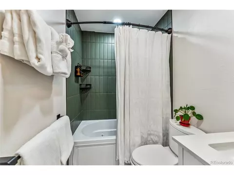 249 E Coyote Ct, Silverthorne, CO 80498 photo 22