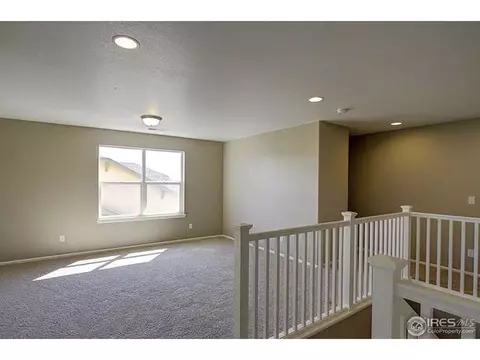 1914 Seadrift Dr, Windsor, CO 80550 photo 11