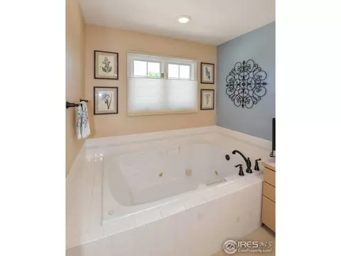 332 N Shore Cir, Windsor, CO 80550 photo 19