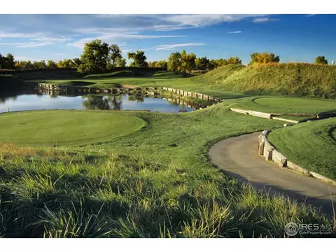 7794 E 136th Pl, Thornton, CO 80602 photo 24