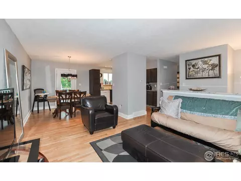 146 Sunflower Dr, Windsor, CO 80550 photo 4