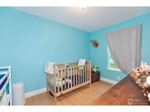 146 Sunflower Dr, Windsor, CO 80550 photo 19