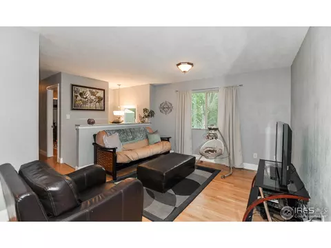 146 Sunflower Dr, Windsor, CO 80550 photo 2