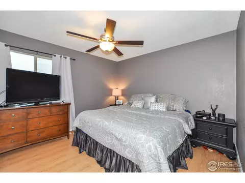 146 Sunflower Dr, Windsor, CO 80550 photo 17