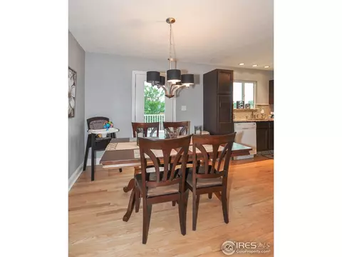 146 Sunflower Dr, Windsor, CO 80550 photo 11