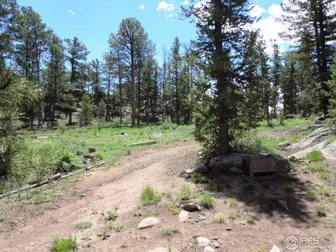467 Eagle Tree Cir, Red Feather Lakes, CO 80545 photo 8