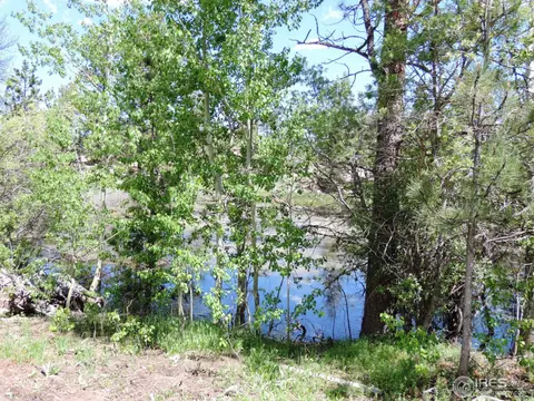 467 Eagle Tree Cir, Red Feather Lakes, CO 80545 photo 9