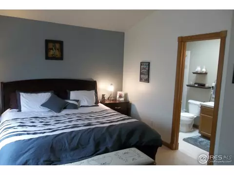 606 Meadow Dr, Windsor, CO 80550 photo 7
