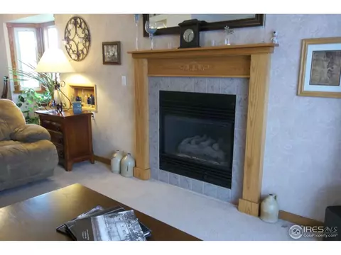 606 Meadow Dr, Windsor, CO 80550 photo 12