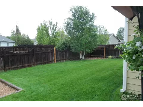 606 Meadow Dr, Windsor, CO 80550 photo 13