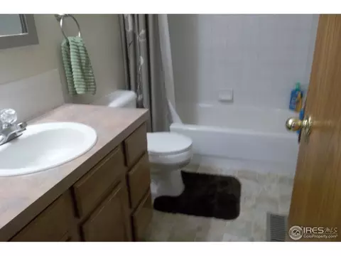 606 Meadow Dr, Windsor, CO 80550 photo 8
