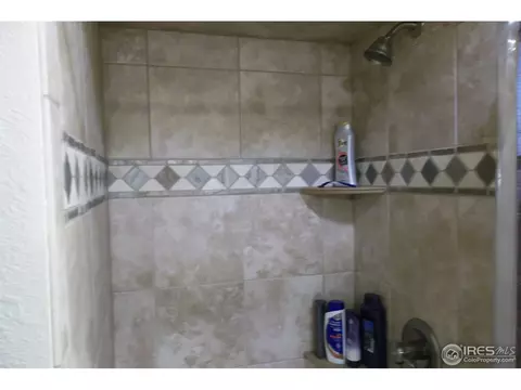 606 Meadow Dr, Windsor, CO 80550 photo 10