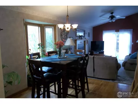 606 Meadow Dr, Windsor, CO 80550 photo 14