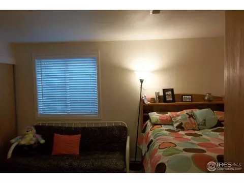606 Meadow Dr, Windsor, CO 80550 photo 9