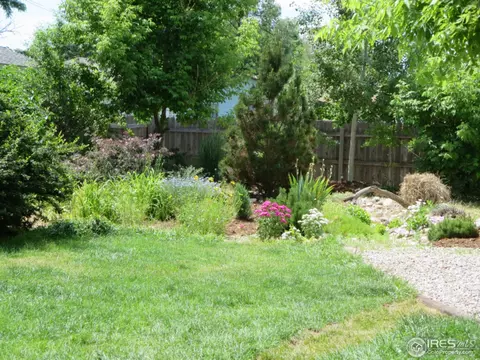 213 Locust St, Windsor, CO 80550 photo 14