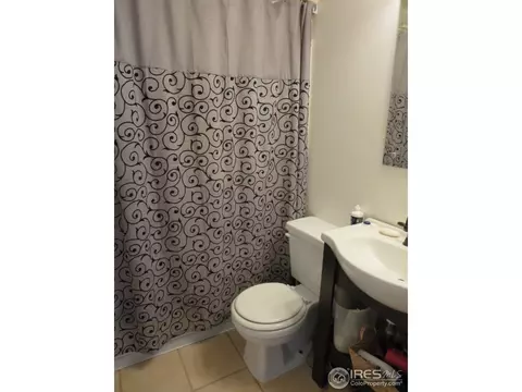 213 Locust St, Windsor, CO 80550 photo 8