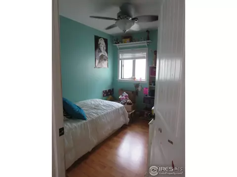 213 Locust St, Windsor, CO 80550 photo 9