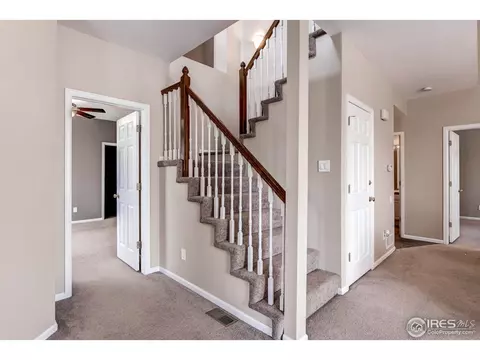 10048 Grove Loop #D, Westminster, CO 80031 photo 16