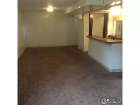 1321 E 119th Pl, Northglenn, CO 80233 photo 21