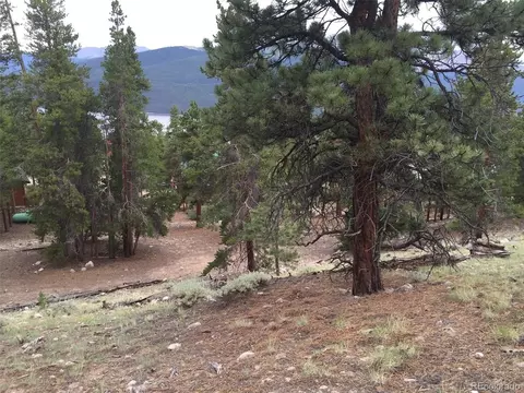 464 Parry Peak Dr, Twin Lakes, CO 81251