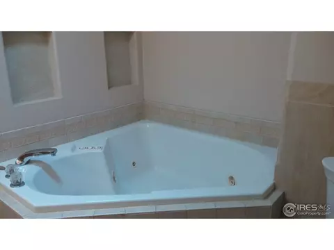 149 Beacon Way, Windsor, CO 80550 photo 23