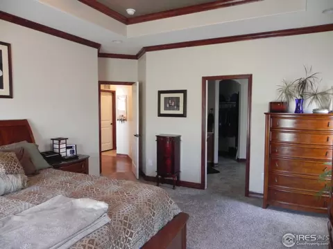 7417 Ladbroke Dr, Windsor, CO 80550 photo 14