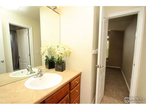 5380 Highland Meadows Ct, Windsor, CO 80528 photo 20