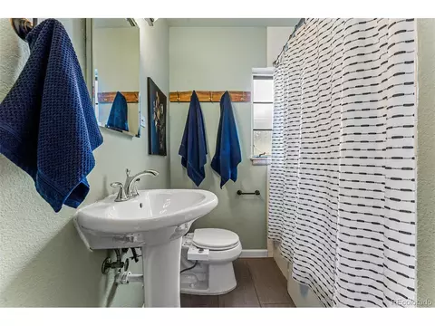 970 Grape St, Denver, CO 80220 photo 19