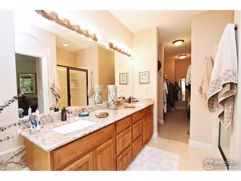 1516 Waterfront Dr, Windsor, CO 80550 photo 13