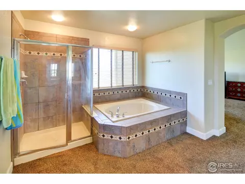 5445 Peak View Ct, Windsor, CO 80550 photo 12